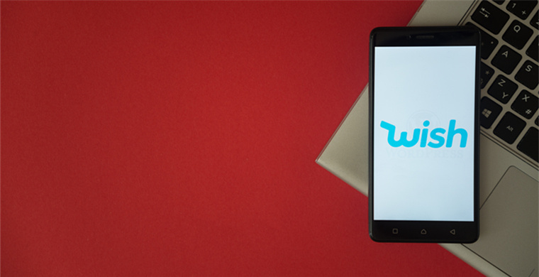 TikTok Global Smart Marketing and Customer Acquisition Platform Feature Introduction